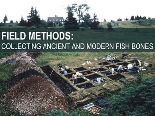 FIELD METHODS:
COLLECTING ANCIENT AND MODERN FISH BONES
 