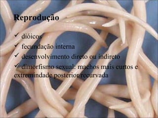 Reprodução
 dióicos
 fecundação interna
 desenvolvimento direto ou indireto
 dimorfismo sexual: machos mais curtos e
extremindade posterior recurvada

 