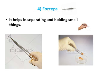 4) Forceps
• It helps in separating and holding small
things.
 