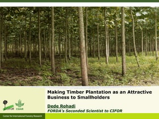 Making Timber Plantation as an Attractive
Business to Smallholders
Dede Rohadi
FORDA’s Seconded Scientist to CIFOR
 
