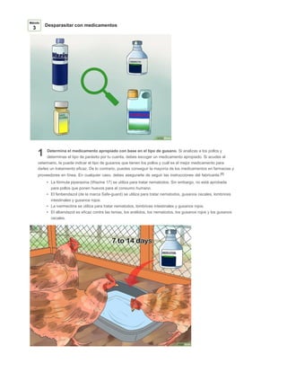 Desparasitar con medicamentos
Determina el medicamento apropiado con base en el tipo de gusano. Si analizas a los pollos y
determinas el tipo de parásito por tu cuenta, debes escoger un medicamento apropiado. Si acudes al
veterinario, te puede indicar el tipo de gusanos que tienen los pollos y cuál es el mejor medicamento para
darles un tratamiento eficaz. De lo contrario, puedes conseguir la mayoría de los medicamentos en farmacias y
proveedores en línea. En cualquier caso, debes asegurarte de seguir las instrucciones del fabricante.[8]
La fórmula piperazina (Wazine 17) se utiliza para tratar nematodos. Sin embargo, no está aprobada
para pollos que ponen huevos para el consumo humano.
El fenbendazol (de la marca Safe-guard) se utiliza para tratar nematodos, gusanos cecales, lombrices
intestinales y gusanos rojos.
La ivermectina se utiliza para tratar nematodos, lombrices intestinales y gusanos rojos.
El albendazol es eficaz contra las tenias, los anélidos, los nematodos, los gusanos rojos y los gusanos
cecales.
Método
3
1
 