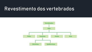 Revestimento dos vertebrados
 