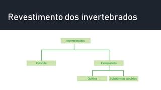 Revestimento dos invertebrados
 