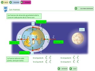INICIO        ESQUEMA           INTERNET



                                                                                                              CLIC PARA CONTINUAR
         Las mareas

     Las fuerzas de atracción gravitatoria de la
     Luna en cada punto de la Tierra son:

                                                    Marea baja
                                           D           →
                                                       FC
                                                          →
                                                          FD                                                  Luna


                               →           C      →                        →
                       B       FB                 FC             A         FA
                                    →                                →
                                    FC                               FC     Marea alta
          Marea alta

                                                         →
                                                          FE
                                                        →
                           Marea baja                   FC
                                           E
                                                                 → →                                → →
     La fuerza neta en cada                    En el punto A:    FA - FC           En el punto D:   FD - FC
     punto, será por tanto:                                      → →                                → →
                                               En el punto B:    FB - FC           En el punto E:   FE - FC


                                                                                    ANTERIOR        SALIR
 