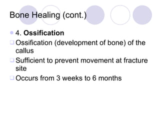 Bone Healing (cont.) 4.  Ossification Ossification (development of bone) of the callus Sufficient to prevent movement at fracture site Occurs from 3 weeks to 6 months 