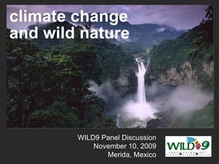 climate change and wild nature  WILD9 Panel Discussion November 10, 2009 Merida, Mexico 