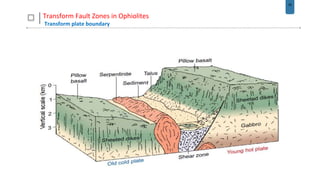 34
Transform Fault Zones in Ophiolites
Transform plate boundary
 