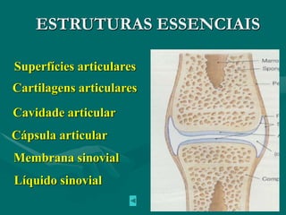 ESTRUTURAS ESSENCIAIS
Superfícies articulares
Cápsula articular
Cavidade articular
Membrana sinovial
Líquido sinovial
Cartilagens articulares
 