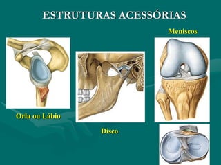 ESTRUTURAS ACESSÓRIAS
Orla ou Lábio
Disco
Meniscos
 
