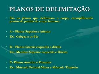 PLANOS DE DELIMITAÇÃO
• São os planos que delimitam o corpo, exemplificando
pontos de partida do corpo humano.
• A – Planos Superior e inferior
• Ex:. Cabeça e os Pés
• B – Planos laterais esquerda e direita
• Ex:. Membro Superior esquerdo e Direito
• C- Planos Anterior e Posterior
• Ex:. Músculo Peitoral Maior e Músculo Trapézio
 