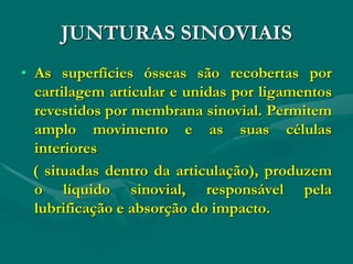 JUNTURAS SINOVIAIS
• As superfícies ósseas são recobertas por
cartilagem articular e unidas por ligamentos
revestidos por membrana sinovial. Permitem
amplo movimento e as suas células
interiores
( situadas dentro da articulação), produzem
o líquido sinovial, responsável pela
lubrificação e absorção do impacto.
 