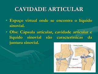 CAVIDADE ARTICULAR
• Espaço virtual onde se encontra o líquido
sinovial.
• Obs: Cápsula articular, cavidade articular e
líquido sinovial são características da
juntura sinovial.
 