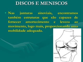 DISCOS E MENISCOS
• Nas junturas sinoviais, encontramos
também estruturas que são capazes de
fornecer amortecimento e leveza ao
movimento, logo mais, proporcionando uma
mobilidade adequada.
 