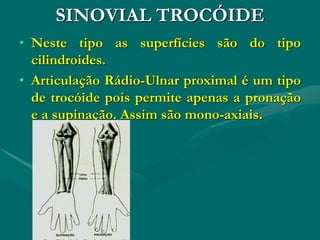 SINOVIAL TROCÓIDE
• Neste tipo as superfícies são do tipo
cilindroides.
• Articulação Rádio-Ulnar proximal é um tipo
de trocóide pois permite apenas a pronação
e a supinação. Assim são mono-axiais.
 