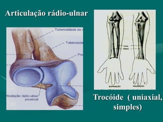 Articulação rádio-ulnar
Trocóide ( uniaxial,
simples)
 
