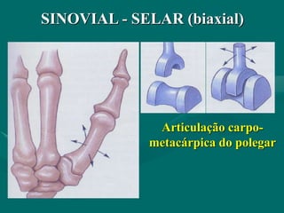 SINOVIAL - SELAR (biaxial)
Articulação carpo-
metacárpica do polegar
 