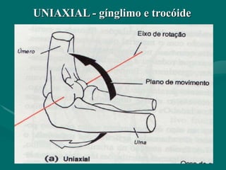 UNIAXIAL - gínglimo e trocóide
 