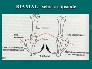 BIAXIAL - selar e elipsóide
 