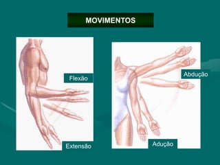 MOVIMENTOS
Adução
Abdução
Flexão
Extensão
 