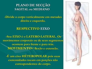 PLANO DE SECÇÃO
SAGITAL ou MEDIANO
-Divide o corpo verticalmente em metades
direita e esquerda.
RESPECTIVO EIXO
-Seu EIXO é o LATERO-LATERAL. Os
movimentos corporais ou de seus segmentos
ocorrem para frente e para trás.
MOVIMENTO= flexão e extensão.
-É um eixo HÉTEROPOLAR pois suas
extremidades tocam em porções não
correspondentes do corpo.
 