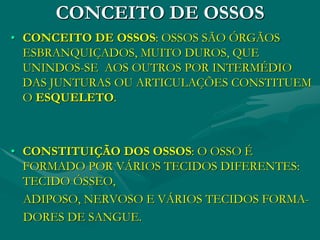CONCEITO DE OSSOS
• CONCEITO DE OSSOS: OSSOS SÃO ÓRGÃOS
ESBRANQUIÇADOS, MUITO DUROS, QUE
UNINDOS-SE AOS OUTROS POR INTERMÉDIO
DAS JUNTURAS OU ARTICULAÇÕES CONSTITUEM
O ESQUELETO.
• CONSTITUIÇÃO DOS OSSOS: O OSSO É
FORMADO POR VÁRIOS TECIDOS DIFERENTES:
TECIDO ÓSSEO,
ADIPOSO, NERVOSO E VÁRIOS TECIDOS FORMA-
DORES DE SANGUE.
 
