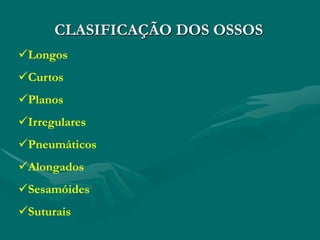 CLASIFICAÇÃO DOS OSSOS
Longos
Curtos
Planos
Irregulares
Pneumáticos
Alongados
Sesamóides
Suturais
 