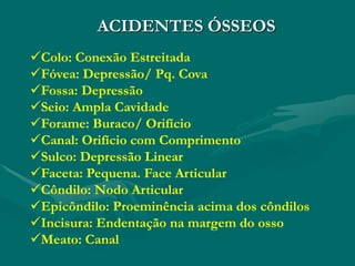 ACIDENTES ÓSSEOS
Colo: Conexão Estreitada
Fóvea: Depressão/ Pq. Cova
Fossa: Depressão
Seio: Ampla Cavidade
Forame: Buraco/ Orifício
Canal: Orifício com Comprimento
Sulco: Depressão Linear
Faceta: Pequena. Face Articular
Côndilo: Nodo Articular
Epicôndilo: Proeminência acima dos côndilos
Incisura: Endentação na margem do osso
Meato: Canal
 