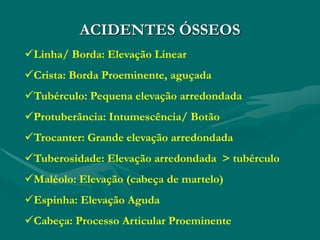 ACIDENTES ÓSSEOS
Linha/ Borda: Elevação Linear
Crista: Borda Proeminente, aguçada
Tubérculo: Pequena elevação arredondada
Protuberância: Intumescência/ Botão
Trocanter: Grande elevação arredondada
Tuberosidade: Elevação arredondada > tubérculo
Maléolo: Elevação (cabeça de martelo)
Espinha: Elevação Aguda
Cabeça: Processo Articular Proeminente
 