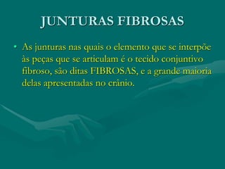 JUNTURAS FIBROSAS
• As junturas nas quais o elemento que se interpõe
às peças que se articulam é o tecido conjuntivo
fibroso, são ditas FIBROSAS, e a grande maioria
delas apresentadas no crânio.
 