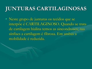 JUNTURAS CARTILAGINOSAS
• Neste grupo de junturas os tecidos que se
interpõe é CARTILAGINOSO. Quando se trata
de cartilagem hialina temos as sincondroses; nas
sínfises a cartilagem é fibrosa. Em ambas a
mobilidade é reduzida.
 
