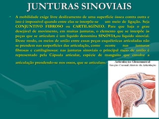 JUNTURAS SINOVIAIS
• A mobilidade exige livre deslizamento de uma superfície óssea contra outra e
isto é impossível quando entre elas se interpõe-se um meio de ligação. Seja
CONJUNTIVO FIBROSO ou CARTILAGÍNEO. Para que haja o grau
desejável de movimento, em muitas junturas, o elemento que se interpõe às
peças que se articulam é um líquido denomina SINÓVIA,ou líquido sinovial.
Deste modo, os meios de união entre essas peças esquéleticas articuladas não
se prendem nas surperfícies das articulação, como ocorre nas junturas
fibrosas e cartilaginosas: nas junturas sinoviais o principal meio de união é
representado pela Cápsula articular, espécie de manguito que envolve a
articulação prendendo-se nos ossos, que se articulam.
 