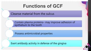 JensMartensson
13
Functions of GCF
Cleanse material from the sulcus
Contain plasma proteins– may improve adhesion of
epithelium to the tooth
Possess antimicrobial properties
Exert antibody activity in defense of the gingiva
 