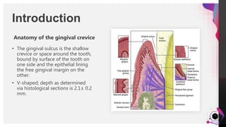 JensMartensson
Introduction
Anatomy of the gingival crevice
• The gingival sulcus is the shallow
crevice or space around the tooth,
bound by surface of the tooth on
one side and the epithelial lining
the free gingival margin on the
other.
• V-shaped; depth as determined
via histological sections is 2.1± 0.2
mm.
3
 