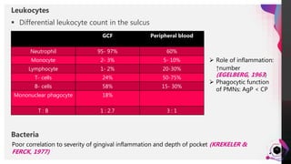 JensMartensson
31
GCF Peripheral blood
Neutrophil 95- 97% 60%
Monocyte 2- 3% 5- 10%
Lymphocyte 1- 2% 20-30%
T- cells 24% 50-75%
B- cells 58% 15- 30%
Mononuclear phagocyte 18%
T : B 1 : 2.7 3 : 1
 Differential leukocyte count in the sulcus
Leukocytes
 Role of inflammation:
↑number
(EGELBERG, 1963)
 Phagocytic function
of PMNs: AgP < CP
Poor correlation to severity of gingival inflammation and depth of pocket (KREKELER &
FERCK, 1977)
Bacteria
 