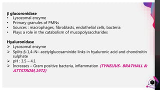 JensMartensson
44
β glucoronidase
• Lysozomal enzyme
• Primary granules of PMNs
• Sources : macrophages, fibroblasts, endothelial cells, bacteria
• Plays a role in the catabolism of mucopolysaccharides
Hyaluronidase
 Lysosomal enzyme
 Splits β-1,4–N– acetylglucosaminide links in hyaluronic acid and chondroitin
sulphate
 pH : 3.5 – 4.1
 Increases – Gram positive bacteria, inflammation (TYNELIUS- BRATHALL &
ATTSTROM,1972)
 