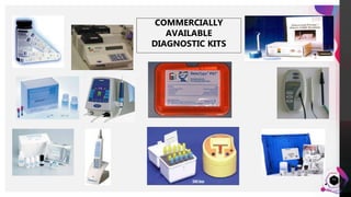 JensMartensson
53
COMMERCIALLY
AVAILABLE
DIAGNOSTIC KITS
 