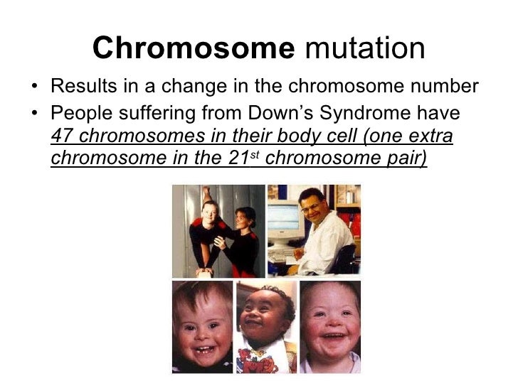 Chapter 19 Heredity Lesson 4 - Examples of Gene and Chromosome Mutati…
