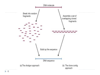 genomics and system biology | PPT