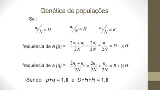 Genética de populações
frequência de A (p) =
frequência de a (q) =
2
= D + 1 H
2
= R + 1 H
2n1 + n2
=
2n1
+
n2
2N 2N 2N
2n3 + n2
=
2n3
+
n2
2N 2N 2N
Sendo p+q = 1,0 e D+H+R = 1,0
n2
N = H
Se :
n1 = D
N
n3 = R
N
 