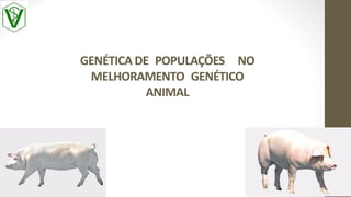 GENÉTICA DE POPULAÇÕES NO
MELHORAMENTO GENÉTICO
ANIMAL
 