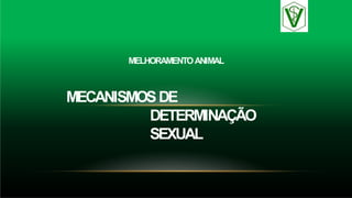 MELHORAMENTOANIMAL
MECANISMOSDE
DETERMINAÇÃO
SEXUAL
 