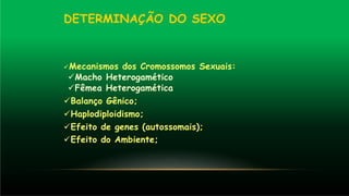 DETERMINAÇÃO DO SEXO
✓Mecanismos dos Cromossomos Sexuais:
✓Macho Heterogamético
✓Fêmea Heterogamética
✓Balanço Gênico;
✓Haplodiploidismo;
✓Efeito de genes (autossomais);
✓Efeito do Ambiente;
 