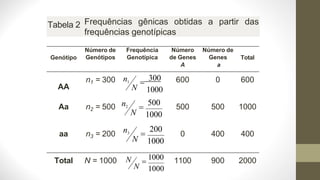 N
Genótipo
Número de
Genótipos
Frequência
Genotípica
Número
de Genes
A
Número de
Genes
a
Total
AA
n1 = 300 n1 =
300
N 1000
600 0 600
Aa n2 = 500 n2 =
500
N 1000
500 500 1000
aa n3 = 200 n3 =
200
N 1000
0 400 400
Total N = 1000 N =
1000 1100 900 2000
1000
Tabela 2 Frequências gênicas obtidas a partir das
frequências genotípicas
 
