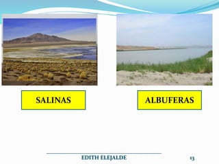 SALINAS ALBUFERAS
__________________________________________
EDITH ELEJALDE 13
 