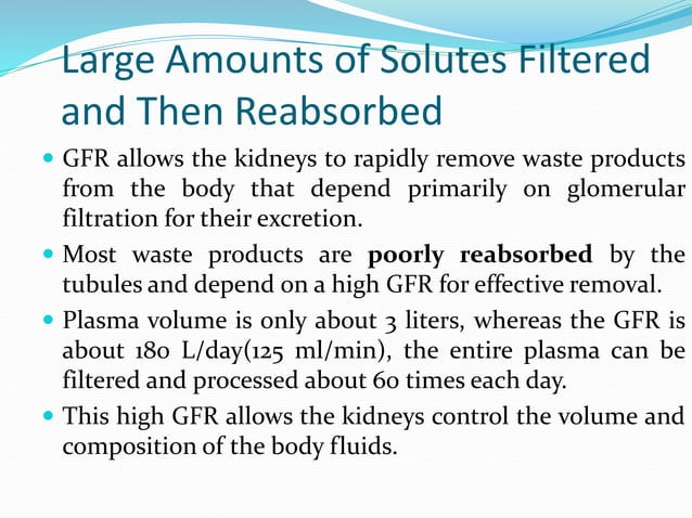 Glomerular filtrate rate GFR's regulation (1).pptx