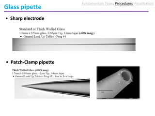Sharp Point Electrode 4 ghe membrane_electricalmodel (3) | PDF