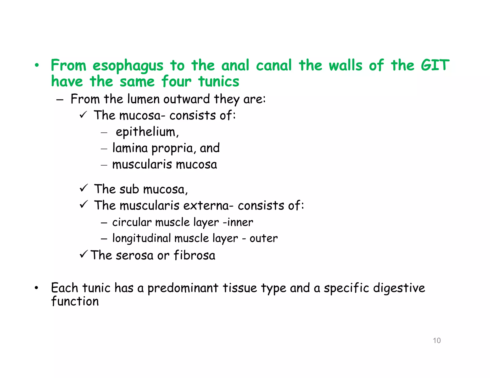 • From esophagus to the anal canal the walls of the GIT
have the same four tunics
– From the lumen outward they are:
 The mucosa- consists of:
– epithelium,
– lamina propria, and
– muscularis mucosa
 The sub mucosa,
 The muscularis externa- consists of:
– circular muscle layer -inner
– longitudinal muscle layer - outer
The serosa or fibrosa
• Each tunic has a predominant tissue type and a specific digestive
function
• From esophagus to the anal canal the walls of the GIT
have the same four tunics
– From the lumen outward they are:
 The mucosa- consists of:
– epithelium,
– lamina propria, and
– muscularis mucosa
 The sub mucosa,
 The muscularis externa- consists of:
– circular muscle layer -inner
– longitudinal muscle layer - outer
The serosa or fibrosa
• Each tunic has a predominant tissue type and a specific digestive
function
10
 