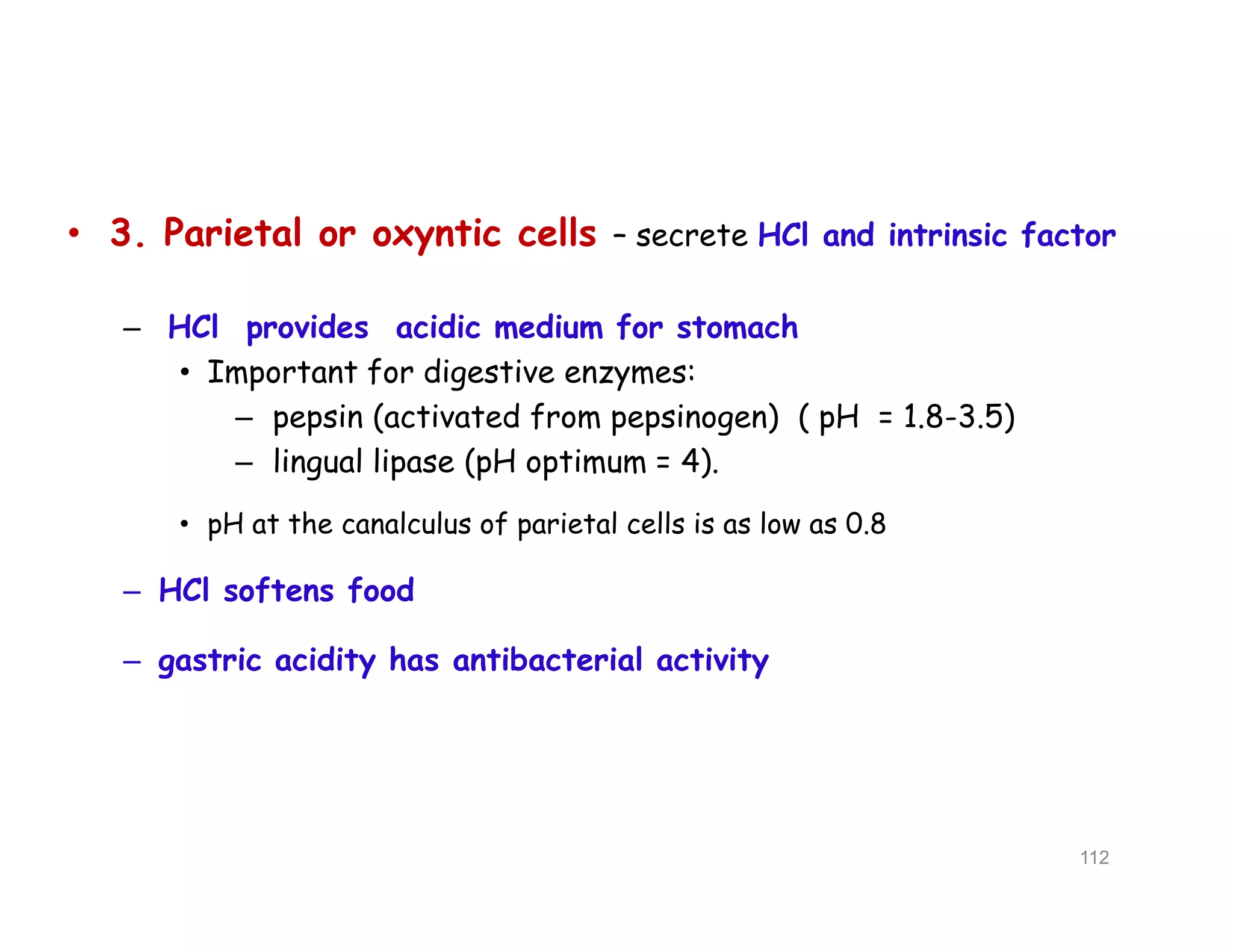 • 3. Parietal or oxyntic cells – secrete HCl and intrinsic factor
– HCl provides acidic medium for stomach
• Important for digestive enzymes:
– pepsin (activated from pepsinogen) ( pH = 1.8-3.5)
– lingual lipase (pH optimum = 4).
• pH at the canalculus of parietal cells is as low as 0.8
– HCl softens food
– gastric acidity has antibacterial activity
• 3. Parietal or oxyntic cells – secrete HCl and intrinsic factor
– HCl provides acidic medium for stomach
• Important for digestive enzymes:
– pepsin (activated from pepsinogen) ( pH = 1.8-3.5)
– lingual lipase (pH optimum = 4).
• pH at the canalculus of parietal cells is as low as 0.8
– HCl softens food
– gastric acidity has antibacterial activity
112
 