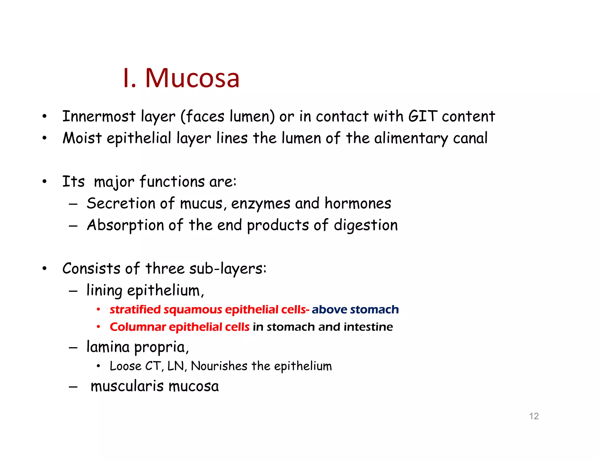 I. Mucosa
• Innermost layer (faces lumen) or in contact with GIT content
• Moist epithelial layer lines the lumen of the alimentary canal
• Its major functions are:
– Secretion of mucus, enzymes and hormones
– Absorption of the end products of digestion
• Consists of three sub-layers:
– lining epithelium,
• stratified squamous epithelial cells- above stomach
• Columnar epithelial cells in stomach and intestine
– lamina propria,
• Loose CT, LN, Nourishes the epithelium
– muscularis mucosa
• Innermost layer (faces lumen) or in contact with GIT content
• Moist epithelial layer lines the lumen of the alimentary canal
• Its major functions are:
– Secretion of mucus, enzymes and hormones
– Absorption of the end products of digestion
• Consists of three sub-layers:
– lining epithelium,
• stratified squamous epithelial cells- above stomach
• Columnar epithelial cells in stomach and intestine
– lamina propria,
• Loose CT, LN, Nourishes the epithelium
– muscularis mucosa
12
 