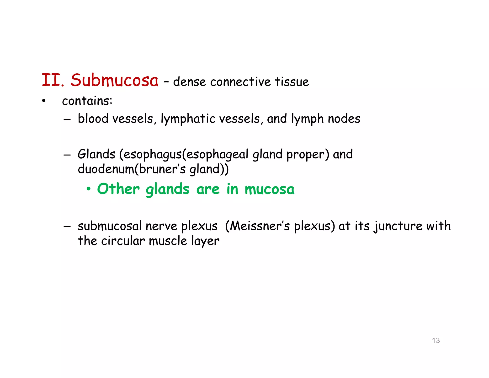 II. Submucosa – dense connective tissue
• contains:
– blood vessels, lymphatic vessels, and lymph nodes
– Glands (esophagus(esophageal gland proper) and
duodenum(bruner’s gland))
• Other glands are in mucosa
– submucosal nerve plexus (Meissner’s plexus) at its juncture with
the circular muscle layer
II. Submucosa – dense connective tissue
• contains:
– blood vessels, lymphatic vessels, and lymph nodes
– Glands (esophagus(esophageal gland proper) and
duodenum(bruner’s gland))
• Other glands are in mucosa
– submucosal nerve plexus (Meissner’s plexus) at its juncture with
the circular muscle layer
13
 